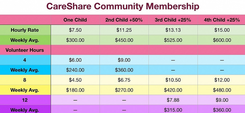 Finding Camelot CareShare Infographic